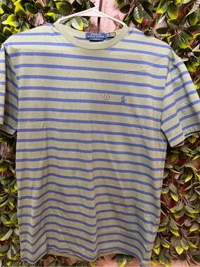 Polo by Ralph Lauren Green and Blue Striped Crew Neck T-Shirt